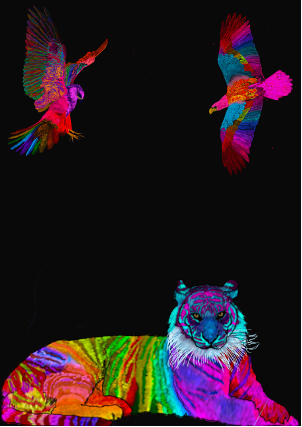 2D26